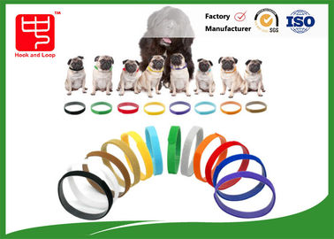 Os colares da identificação do cachorrinho diluem o gancho e dão laços em correias para o animal de estimação do cão, cor distinguem